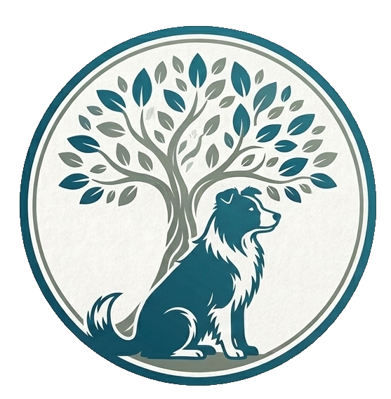 LES COMPAGNONS DES SENS