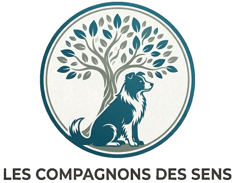LES COMPAGNONS DES SENS